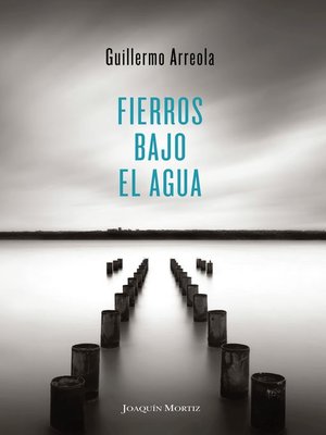 cover image of Fierros bajo el agua
